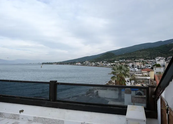 Black Lotus Hotell