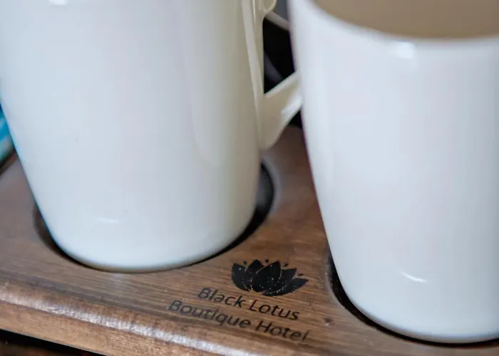 Black Lotus Hotell