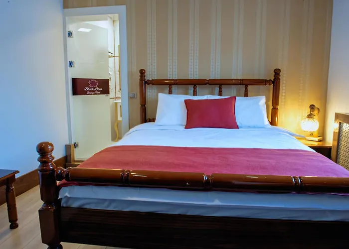 Black Lotus Hotell