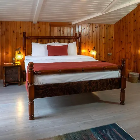 Black Lotus Hotel *